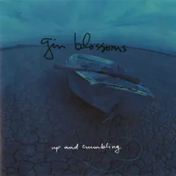 Up and Crumbling - EP - Gin Blossoms