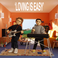 Rex Orange County - Loving Is Easy (feat. Benny Sings) artwork