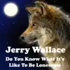 Do You Know What It's Like To Be Lonesome - Single album lyrics, reviews, download