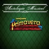 Conjunto Primavera - Una Vez Más