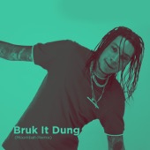 Bruk It Dung (Moombah Remix) artwork