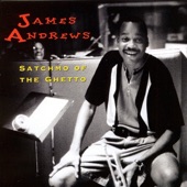 James Andrews - Your Mama Don't Dance
