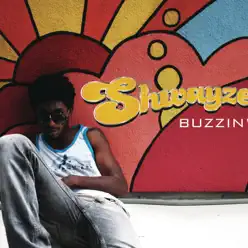 Buzzin' - Single - Shwayze