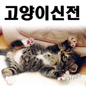 166. (시즌 종료) 고양이신전 1시즌을 사랑해 주셔서 감사합니다