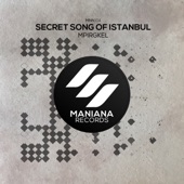 Secret Song of Istanbul artwork