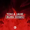 Burn Down - Single album lyrics, reviews, download