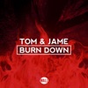 Burn Down - Single, 2016