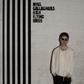 Noel Gallagher's High Flying Birds - The Dying of the Light