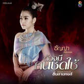 ต้องมีคนชดใช้ (Ost. ซิ่นลายหงส์) artwork