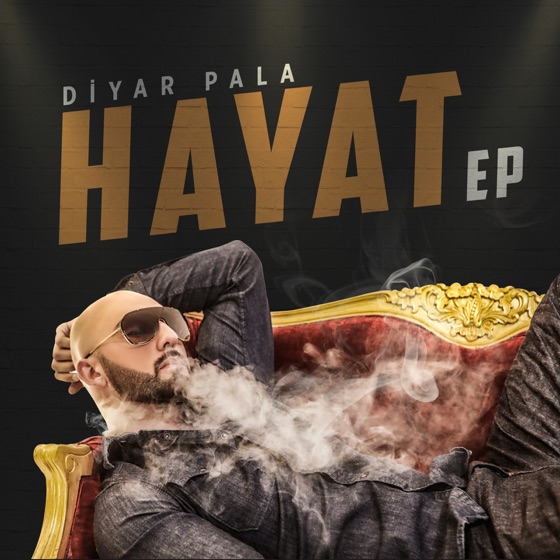 Cover artwork for Olan Yine Bize Oldu