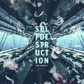 SELFDESTRUCTION artwork