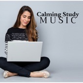 Calming Study Music: The Perfect Playlist for Studying or Working, Relieve Stress and Anxiety, New Age Relaxing Music to Enhance your Concentration, Mind Power, Reading and Learning artwork