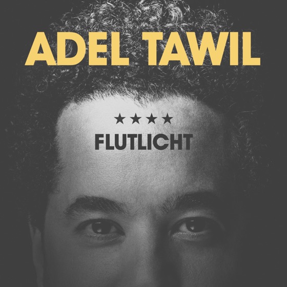 Cover artwork for Flutlicht