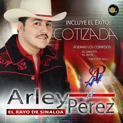 Cotizada - Arley Perez