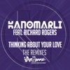 Thinking About Your Love (feat. Richard Rogers) [The Remixes], 2018