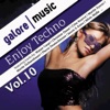 Enjoy ! Techno, Vol. 10, 2012