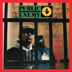 It Takes a Nation of Millions To Hold Us Back (Deluxe Edition) - Public Enemy