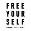 Free Yourself (Paranoid London Remix) - Single