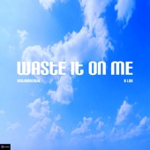 Waste It on Me (Originally Performed by Steve Aoki, Bts) [Karaoke Version] artwork