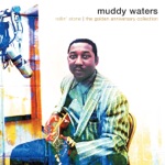 Muddy Waters - Evans' Shuffle