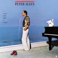 Peter Allen - I Could Have Been a Sailor artwork