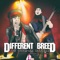 Different Breed (feat. Intrinzik) - IR8 lyrics