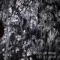 Raccoons in My Window - Body of Mine lyrics