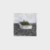 Bath - Single