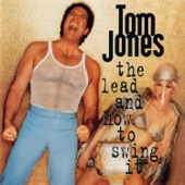 The Lead And How To Swing It artwork