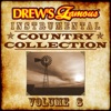 Drew's Famous Instrumental Country Collection, Vol. 8