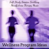 Wellness Program Ideas - Soft Study Session Soothing Mindfulness Therapy Music with Instrumental New