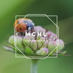 Mchl - Single - Carlos Alberto Mchl - Single - Carlos Alberto