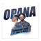 Opana (feat. Shatta Wale) - Flowking Stone lyrics