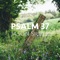 Delight in the Lord, Psalm 37:1-26 - Jason Silver lyrics