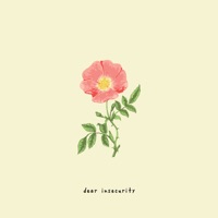 GNASH feat BEN ABRAHAM - Dear Insecurity Chords and Lyrics