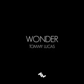 Wonder artwork