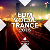 Edm Vocal Trance 2016 artwork