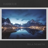 Bela Nemeth - Harbour