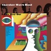 The Chocolate Watchband - Come On