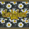 Daisies - Single album lyrics, reviews, download