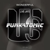 Wonderful (Funkatomic Remix) - Single