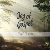 Peace of Mind - Joy Of Gospel