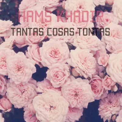 Tantas Cosas Tontas - Single - Hams Khadir