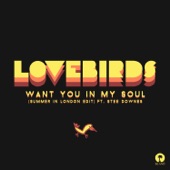 Want You In My Soul (Summer In London Edit) [feat. Stee Downes] [feat. Stee Downes] artwork