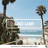 Bad Liar (Joey Stux's Deep House Version) artwork