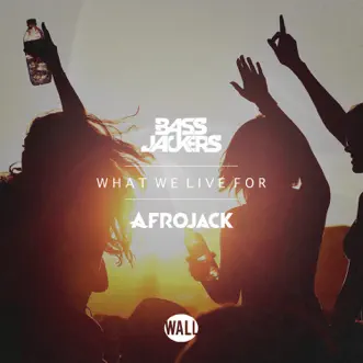 What We Live For by Bassjackers & AFROJACK song reviws