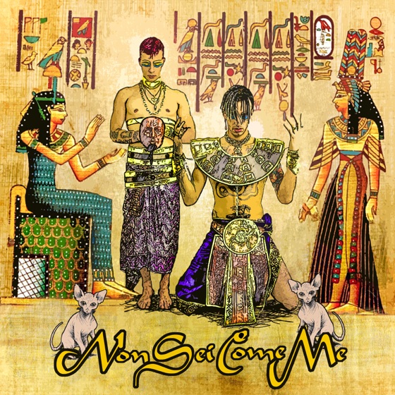 Cover artwork for Non sei come me