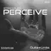 Perceive album cover