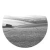 Adam Husa & Pōe - Moonbow (Pablo Bolivar Remake)