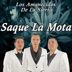 Saque la Mota - Single - Los Amanecidos de la Sierra Saque la Mota - Single - Los Amanecidos de la Sierra